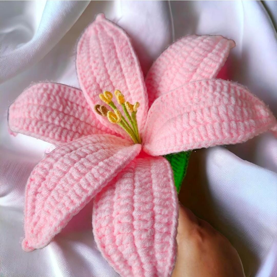 PINK LILY FLOWERS