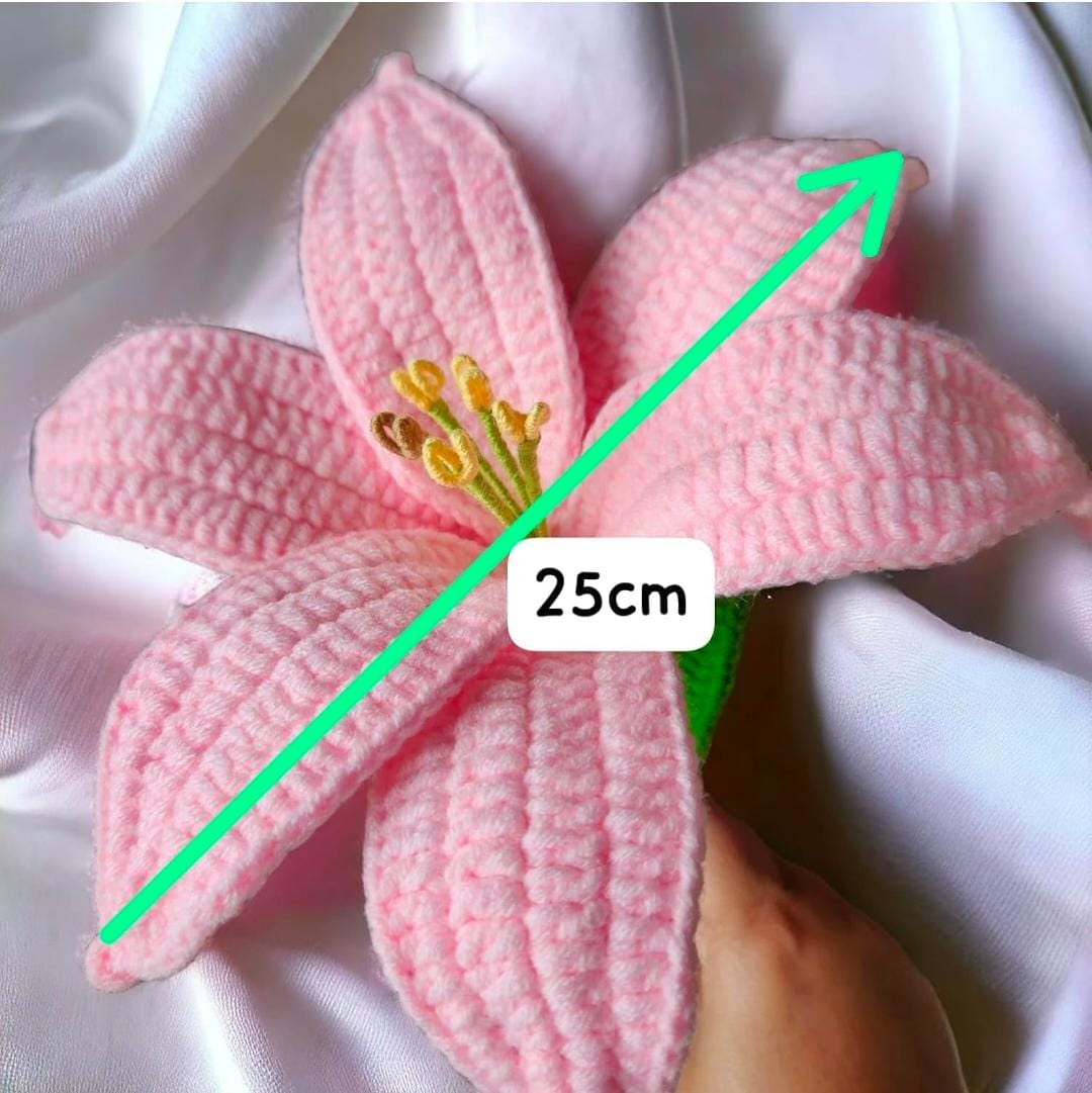 PINK LILY FLOWERS