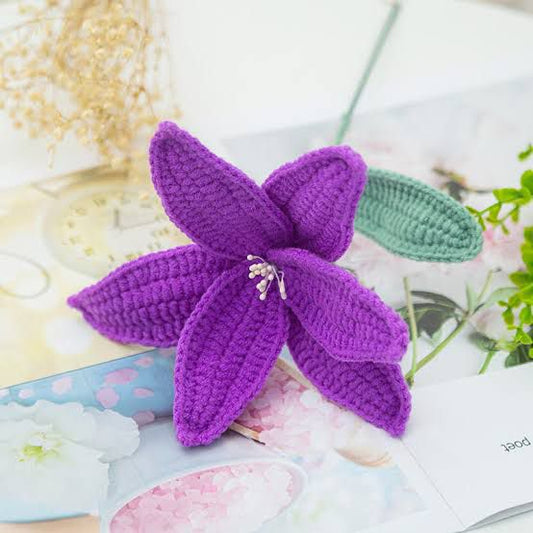 PURPLE LILY FLOWER