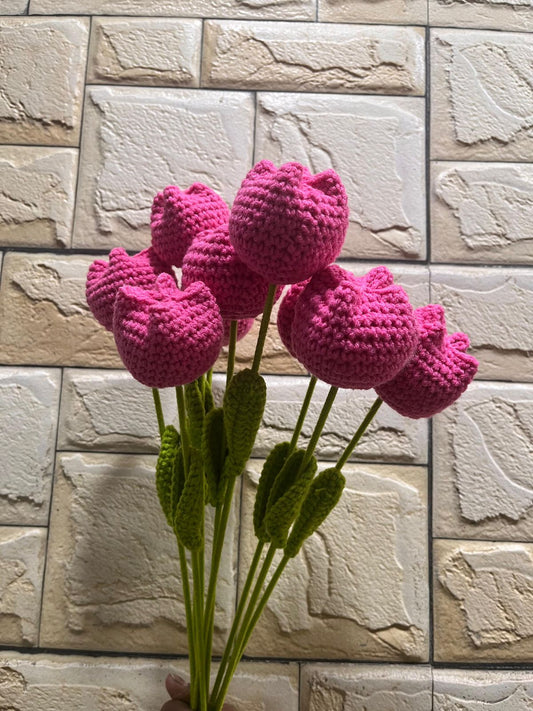 TULIP FLOWERS