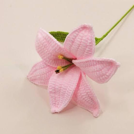 PINK LILY FLOWERS